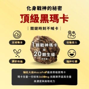 瑪卡、黑瑪卡、B群怎麼選？TERRA 好康大禮包適合哪些人
