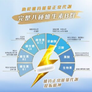 常覺得沒精神、工作卡卡？這款牛樟芝B群可能正好對到你的需求