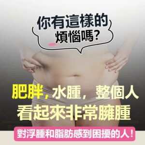 代謝膠囊怎麼選？植物萃取、飽腹感、台製商品比較一次整理