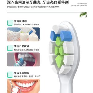 牙齦容易不舒服、刷完還覺得髒？用 DM71/31/DC12 替換牙刷頭把問題一次解掉