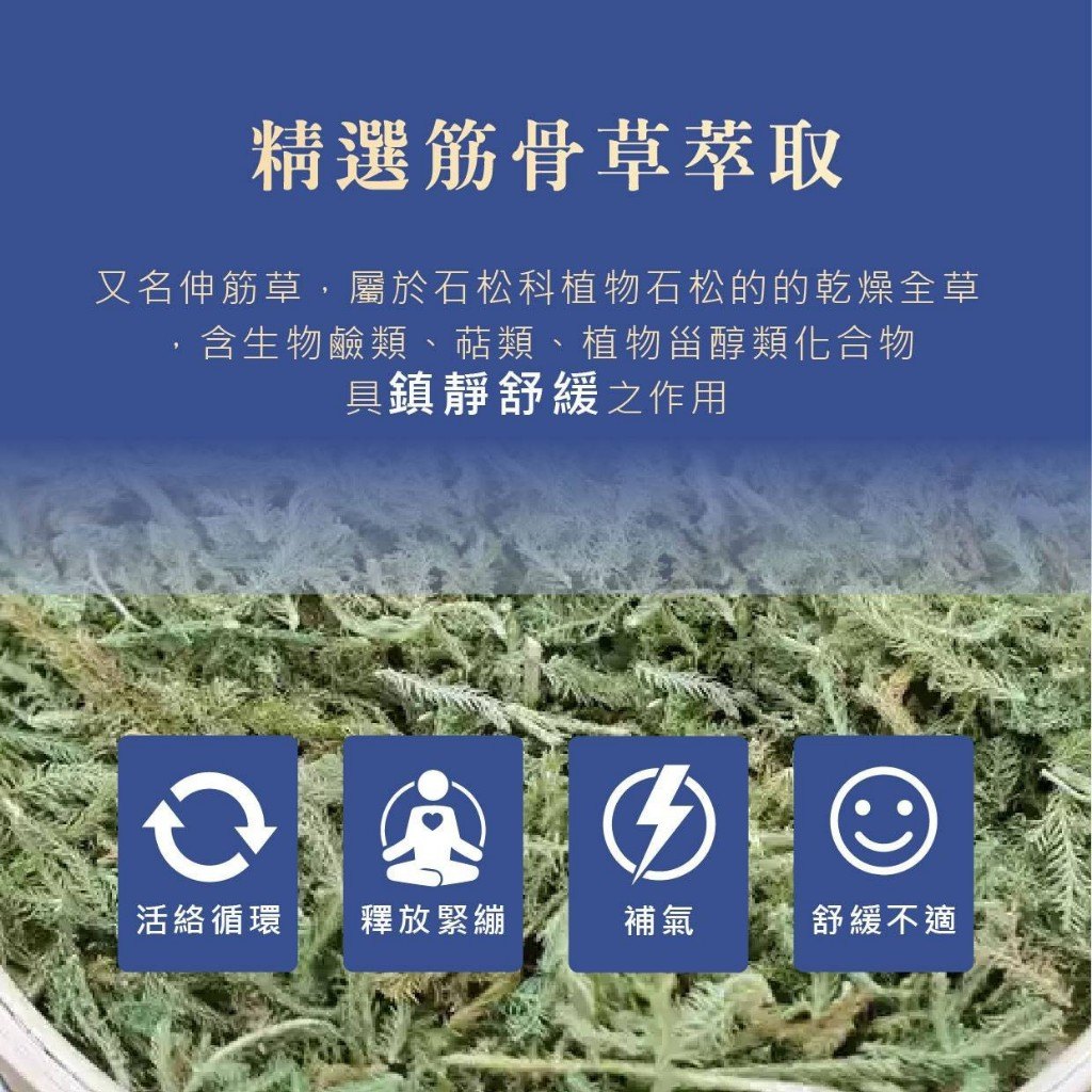 膠囊與日常搭配