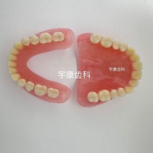 全口 vs 半口牙義齒模型：哪一種更適合老年人口腔展示教學？