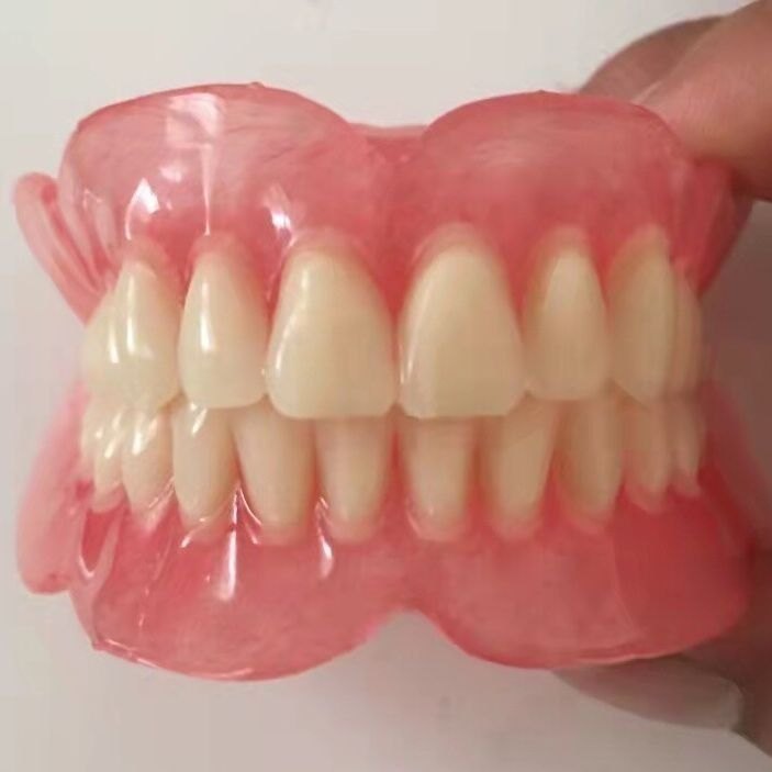 整套仿真假牙口腔展示示範