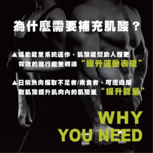 肌酸粉怎麼沖才不結塊？水合型肌酸的沖泡與使用流程教學