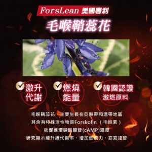 腸胃不穩、纖維老是跟不上？用全纖管理把日常拉回節奏：孅窈窕速孅+毛喉鞘蕊花解法