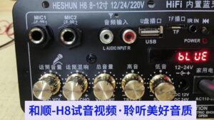 雙話筒功放板怎麼選：12V/24V/110V通用與大功率需求的實用整理
