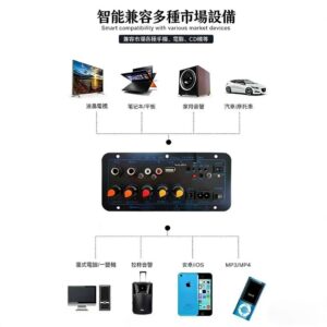 功放板通用 vs 專用：12V/24V/110V 與雙話筒功能的差異比較（附選擇表）
