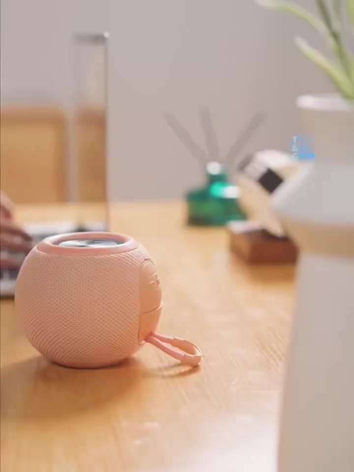 戶外聚會音響放置情境