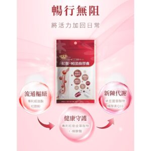 久坐緊繃、恢復不穩：用「調節循環」配方思路處理你的日常痛點