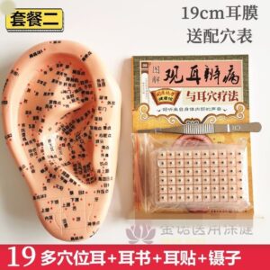 耳穴貼按摩耳朵模型新手教學：從對位到貼附的 5 分鐘流程
