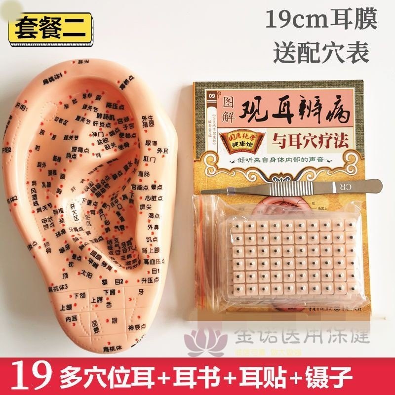 耳豆貼按壓與貼附位置示意