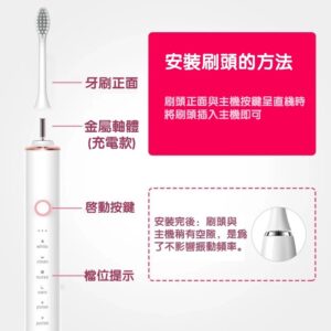 聲波震動電動牙刷怎麼選？成人軟毛、防水、全自動抗菌與情侶套裝的比較重點