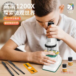 第一次用光學顯微鏡就不想放棄：臺式生物觀察的對焦與觀察步驟教學